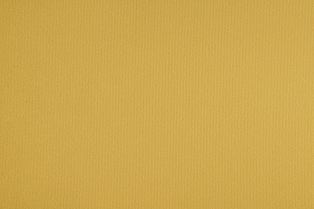 Диван еврокнижка Колибри горчичный